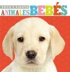 Grupo Nelson, Grupo Nelson, Thomas Nelson, Thomas Nelson, Thomas Nelson Publishers - Toca y siente animales bebés