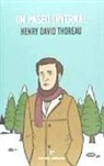Henry D. Thoreau - Un paseo invernal
