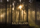 Heidi Bücker - Lichtzauber im Sauerland (Posterbuch DIN A3 quer)