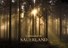 Heidi Bücker - Lichtzauber im Sauerland (Tischaufsteller DIN A5 quer)