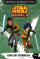 Michael Kogge - Star Wars Rebels - Ezra lebt gefährlich