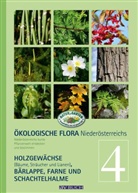 Wolfgan Adler, Wolfgang Adler, Wolfgan Holzner, Wolfgang Holzner, Silvia Winter, Silvia u Winter - Ökologische Flora Niederösterreichs. Bd.4
