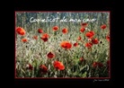 Jean François LEPAGE © - Coquelicot de mon c ur (Livre poster DIN A3 horizontal)