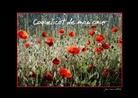 Jean François LEPAGE © - Coquelicot de mon c ur (Livre poster DIN A4 horizontal)