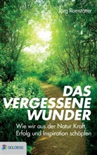 Jörg Romstötter - Das vergessene Wunder