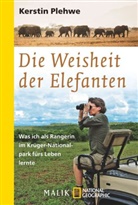Kerstin Plehwe - Die Weisheit der Elefanten