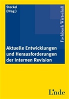 Rudol Steckel, Rudolf Steckel - Aktuelle Entwicklungen und Herausforderungen der Internen Revision