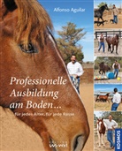Alfonso Aguilar - Professionelle Ausbildung am Boden
