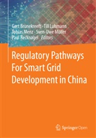 Gert Brunekreeft, Til Luhmann, Till Luhmann, Tobias Menz, Tobias Menz et al, Sven Uwe Müller... - Regulatory Pathways For Smart Grid Development in China