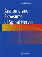 Amgad S Hanna, Amgad S. Hanna - Anatomy and Exposures of Spinal Nerves