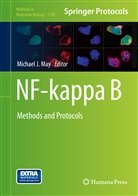 Michael J May, Michae J May, Michael J May, Michael J. May - Nf-Kappa B