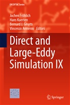 Vincenzo Armenio, Jochen Fr¿hlich, Jochen Fröhlich, Bernard J. Geurts, Bernard J Geurts et al, Han Kuerten... - Direct and Large-Eddy Simulation IX