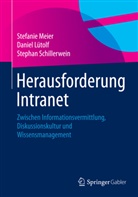 Danie Lütolf, Daniel Lütolf, Stefani Meier, Stefanie Meier, Steph Schillerwein, Stephan Schillerwein - Herausforderung Intranet