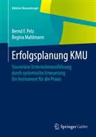 Regina Mahlmann, Bernd Pelz, Bernd F Pelz, Bernd F. Pelz - Erfolgsplanung KMU