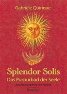 Gabriele Quinque - Splendor Solis - Das Purpurbad der Seele