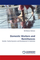 Md Mizanur Rahman, Mizanur Rahman - Domestic Workers and Remittances