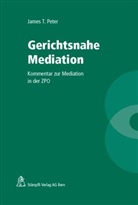 James T Peter, James T. Peter - Gerichtsnahe Mediation