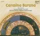 Carl Orff - Carmina Burana, 2 Audio-CDs (Audio book)