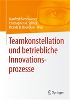 Ricarda B Bouncken, Manfred Bornewasser, Ricarda B. Bouncken, Christophe M Schlick, Christophe Marc Schlick, Christopher Marc Schlick... - Teamkonstellation und betriebliche Innovationsprozesse