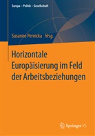 Susann Pernicka, Susanne Pernicka - Horizontale Europäisierung im Feld der Arbeitsbeziehungen