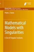 Pedro J Torres, Pedro J. Torres - Mathematical Models with Singularities