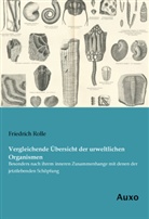 Friedrich Rolle - Vergleichende Übersicht der urweltlichen Organismen