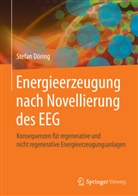 Stefan Döring - Energieerzeugung nach Novellierung des EEG