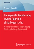 Roman S Iwasaki, Roman S. Iwasaki - Die separate Regulierung zweier Gene mit einfarbigem Licht