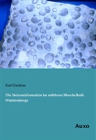 Karl Endriss - Die Steinsalzformation im mittleren Muschelkalk Württembergs