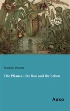 Eberhard Dennert - Die Pflanze - ihr Bau und ihr Leben
