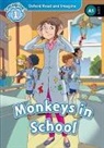 Paul Shipton, Shipton Paul, Fabiano Fiorin - Monkey in the School