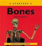 Claire Llewellyn, Claire Miskin Llewellyn, Ruth Miskin - Read Write Inc. Comprehension: Module 9: Children s Books: Bones