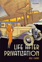 Raj Chari, Raj (Associate Professor Chari, Chari Raj - Life After Privatization