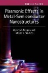 Tatiana V Shubina, Tatiana V. Shubina, Tatiana V. (Leading researcher Shubina, Shubina Tatiana V., Alexey A Toropov, Alexey A. Toropov... - Plasmonic Effects in Metal-Semiconductor Nanostructures