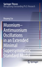 Boyang Liu - Muonium-antimuonium Oscillations in an Extended Minimal Supersymmetric Standard Model