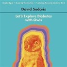 David Sedaris, David Sedaris - Let S Explore Diabetes with Owls: Essays, Ect (Audio book)