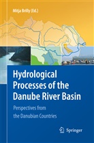 Mitj Brilly, Mitja Brilly - Hydrological Processes of the Danube River Basin