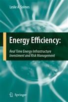 Leslie A Solmes, Leslie A. Solmes - Energy Efficiency