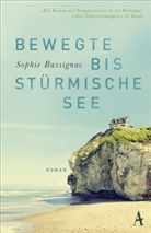 Sophie Bassignac - Bewegte bis stürmische See
