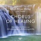 Dinah A. Marker, Dinah Arosa Marker - Chorus of Healing, 1 Audio-CD (Audio book)