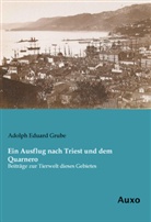 Adolph Eduard Grube - Ein Ausflug nach Triest und dem Quarnero
