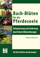 Marion Brehmer - Bach-Blüten für die Pferdeseele