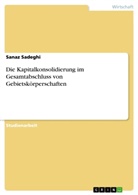 Sanaz Sadeghi - Die Kapitalkonsolidierung im Gesamtabschluss von Gebietskörperschaften