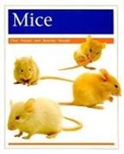 CLIVE HARPER, Beverley Randell, Rigby, Rigby (COR), Rigby - Pets Mice, Student Reader