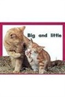 Rigby, Rigby (COR), Various, Rigby - Big and Little