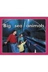 Rigby, Rigby (COR), Various, Rigby - Big Sea Animals