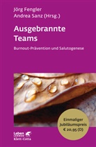 Jör Fengler, Jörg Fengler, Sanz, Sanz, Andrea Sanz - Ausgebrannte Teams (Leben Lernen, Bd. 235)