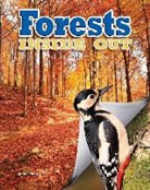 James Bow - Forests Inside Out