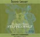 Hermann Hesse, Peter Weller - Steppenwolf (Audio book)