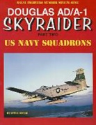 Steve Ginter - Douglas Ad/A-1 Skyraider